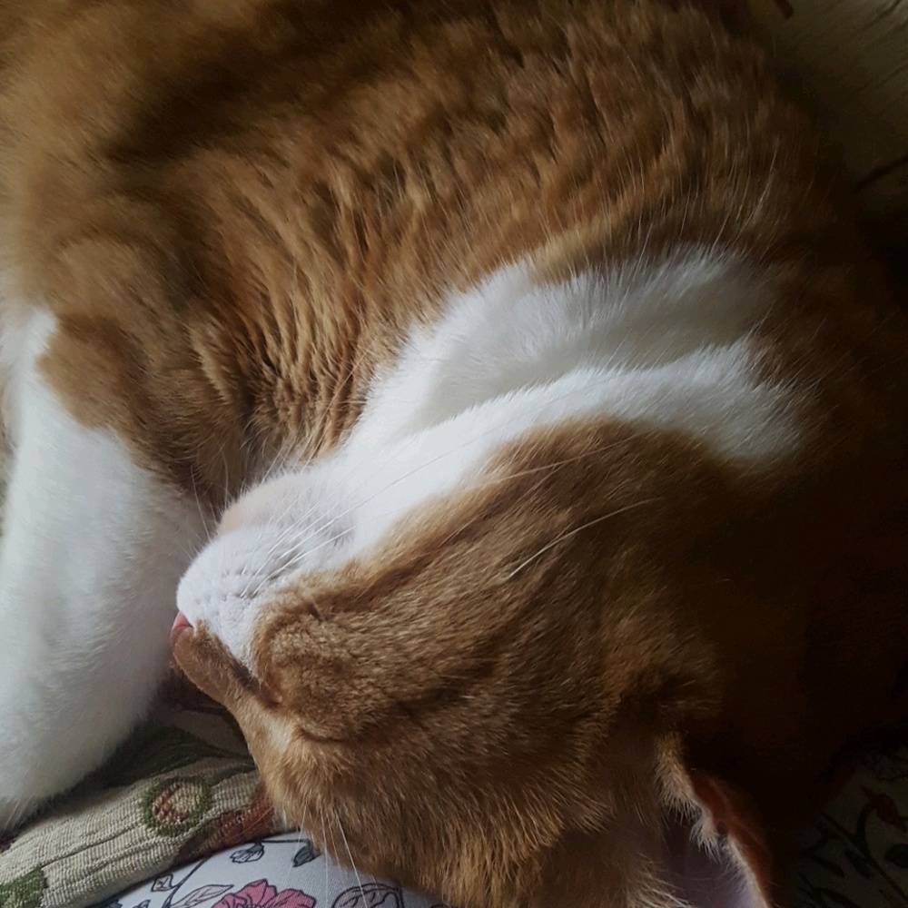 Meet your Posher, Cl